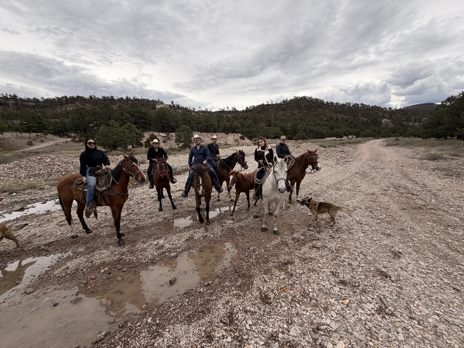 Grupo recorriendo la Sierra Tarahumara a caballo