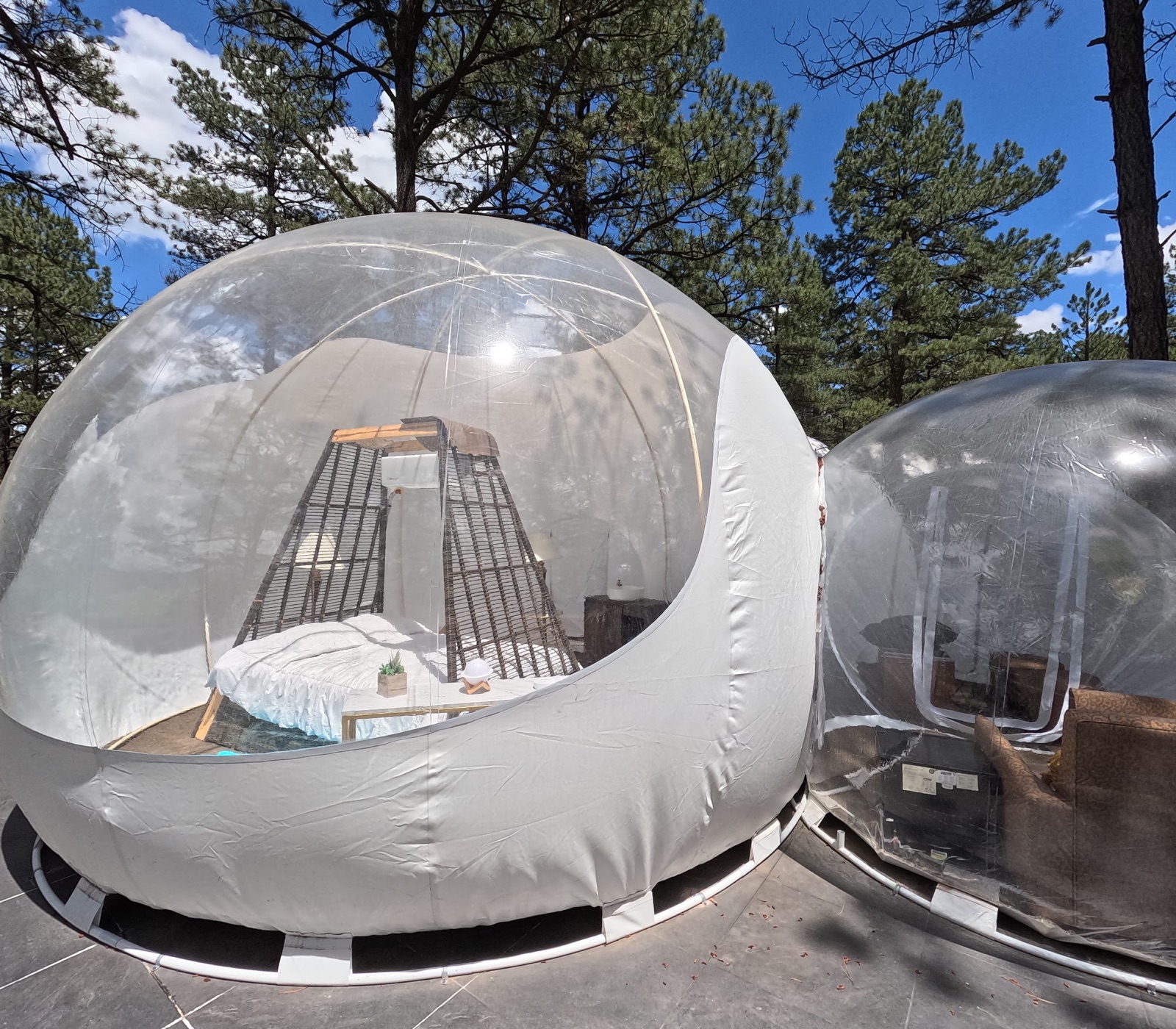 Domos de glamping burbuja transparentes entre los pinos