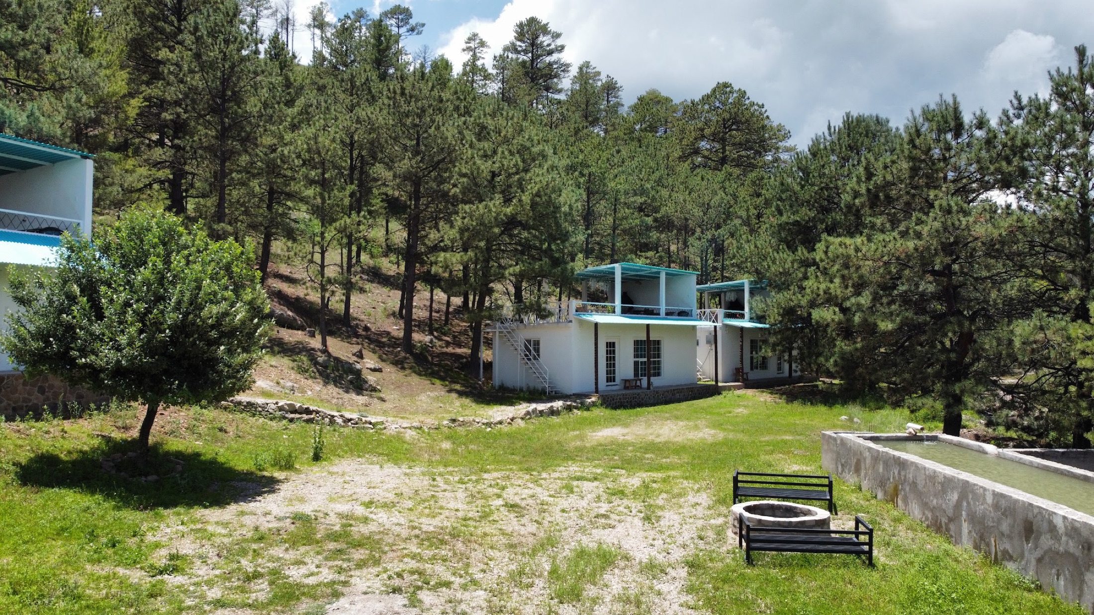 Cabañas de El Sueño de Mina entre los pinos de la sierra